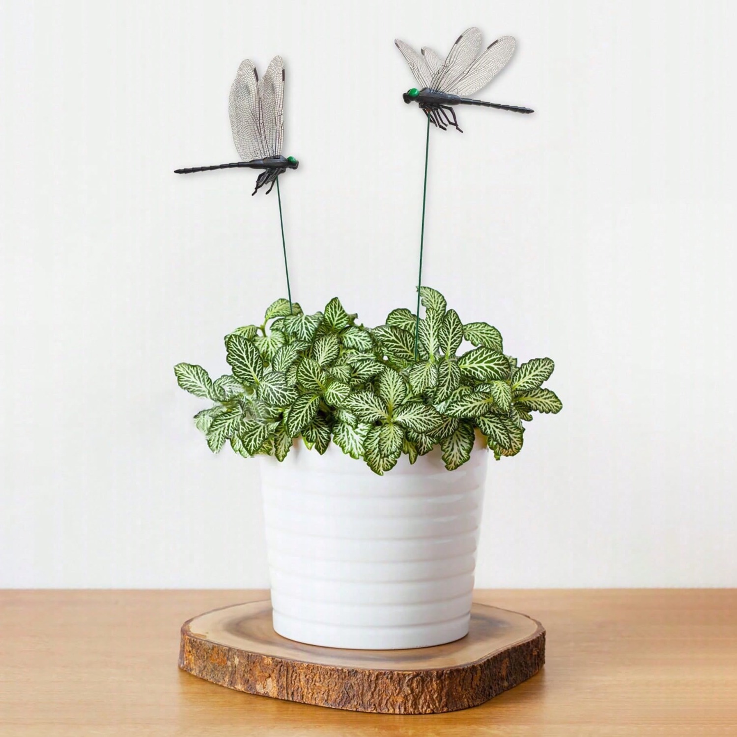 10 Pcs Dragonfly Decorative S, - 3D Printing Vase 评论和价格